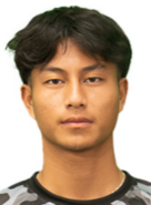 G.盖亚里